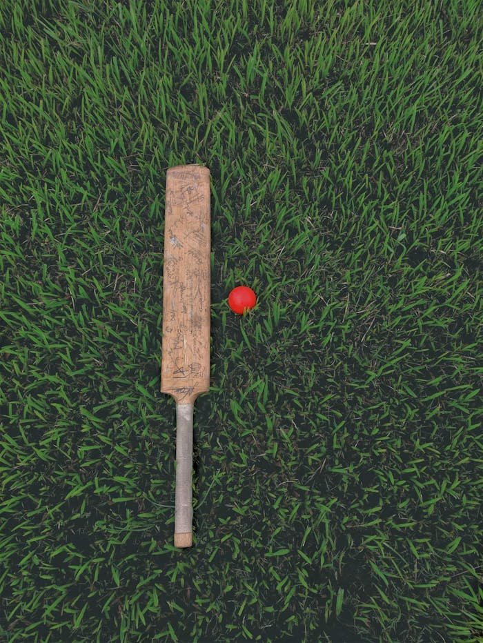 services-03 A cricket bat and ball placed on a grassy field viewed from above.